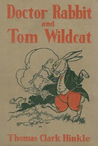 Cover of Doctor Rabbit and Tom Wildcat — Story, Setting & Ideas